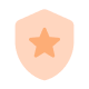 Escudo beige con estrella naranja para la seguridad del posicionamiento seo local